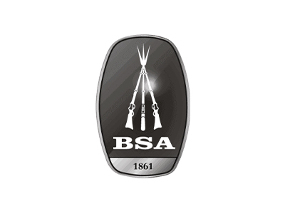 BSA